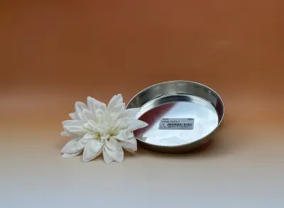 Tourtière fer blanc