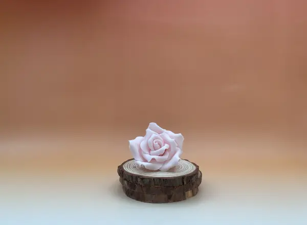 47041_rose-sucre