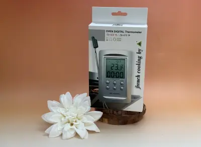 Thermomètre avec sonde à fil + alarm