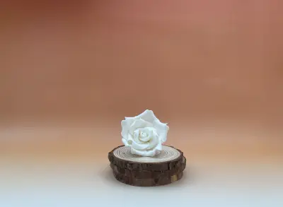 47040_rose-sucre-blanche