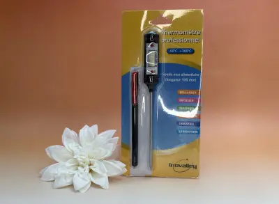 8030630_thermometre-sonde