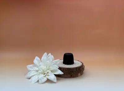10175_10176_10177_moule-canele-unite_2
