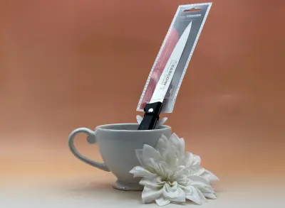 8001501_couteau-filet-de-sole