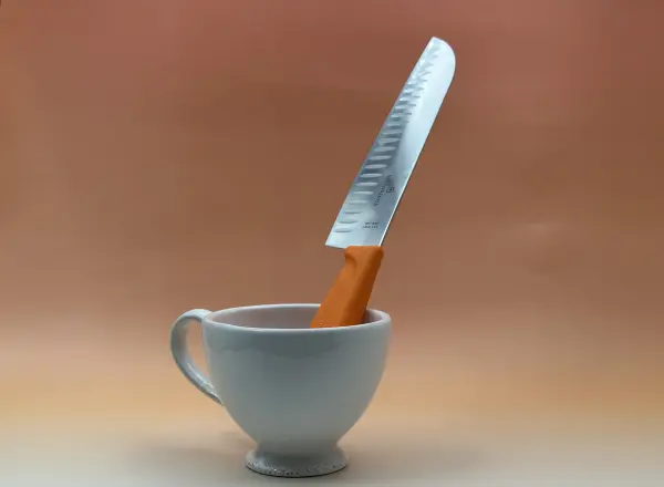 6001096_couteau-santoku-victorinox