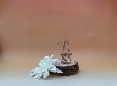 6001032_decoupoir-gnome