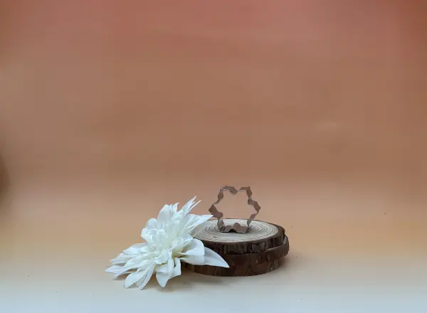 600286_decoupoir-flocon-neige