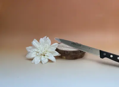 Couteau filet de sole  
