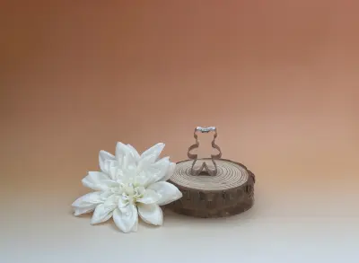 Découpoir ourson