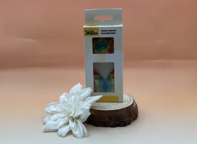 Papillon azyme couleur arc-en-ciel