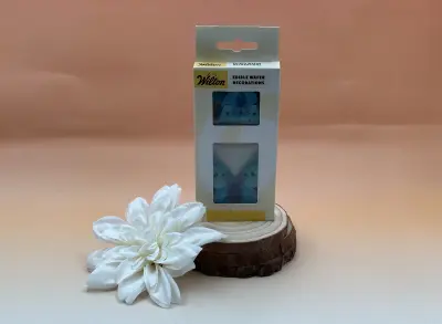 Papillon azyme couleur bleu