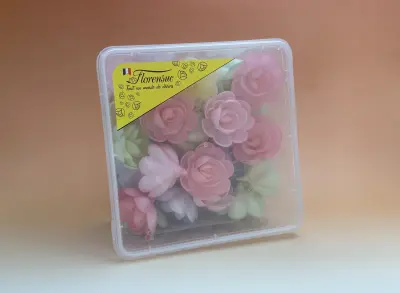 Rose azyme nuancée 