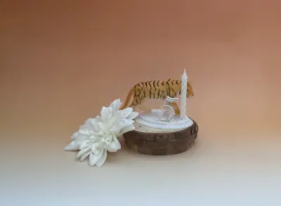 Sujet bougie Animaux  - 3