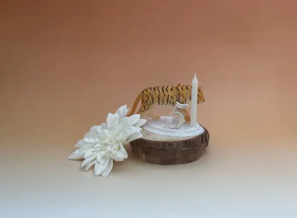 Sujet bougie Animaux 
