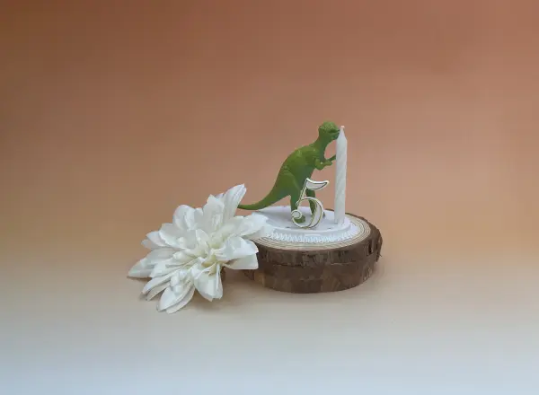 Sujet bougie Animaux 