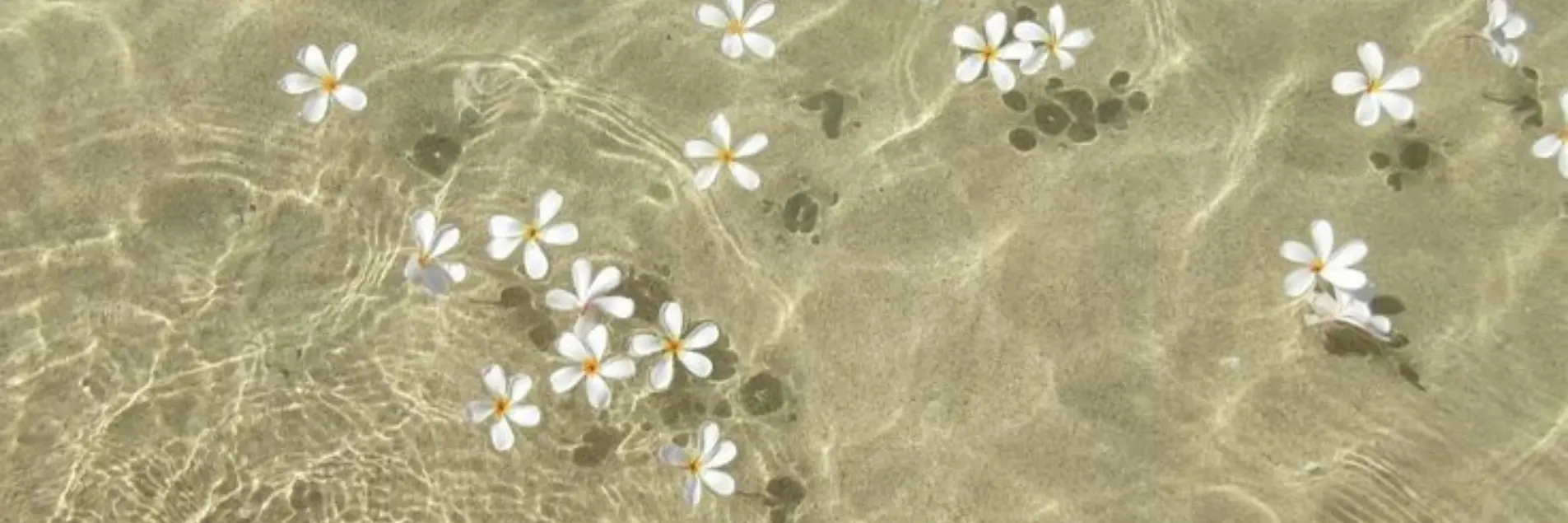 Fermeture pour congés
