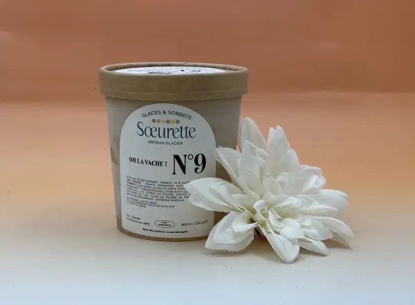 Glace yaourt Soeurette