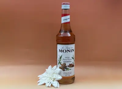 Sirop Monin pain d'épices 70cl