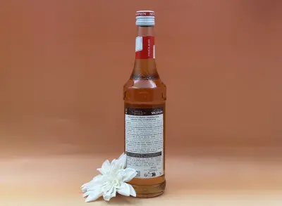 Sirop Monin pain d'épices 70cl