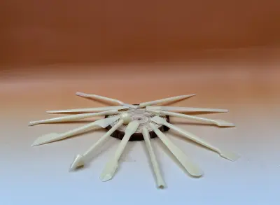 12 ébauchoirs plastiques